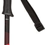 Rossignol Tactic/Red Ski Poles, Black/Red, 120cm