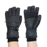 HighLoong Men Waterproof Thinsulate Ski Snowboard Gloves Winter Warm Gloves Black (XL,Standard)